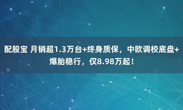 配股宝 月销超1.3万台+终身质保,中欧调校底盘+爆胎稳行,仅8.98万起!