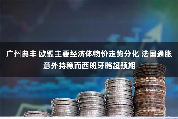 广州典丰 欧盟主要经济体物价走势分化 法国通胀意外持稳而西班牙略超预期